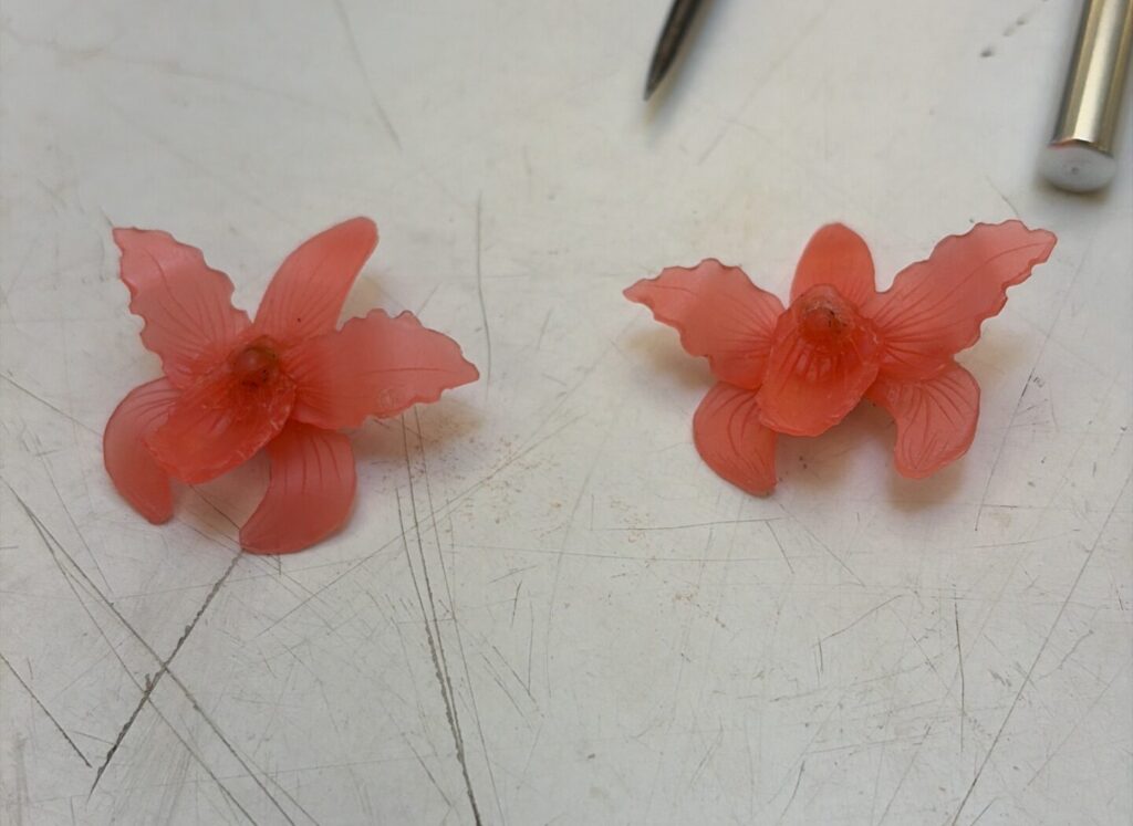 Ceras de topos mercado orquídea