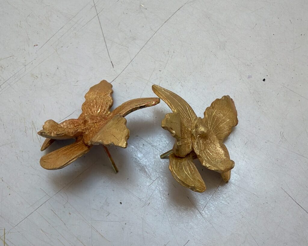 Resultado topos mercado orquidea