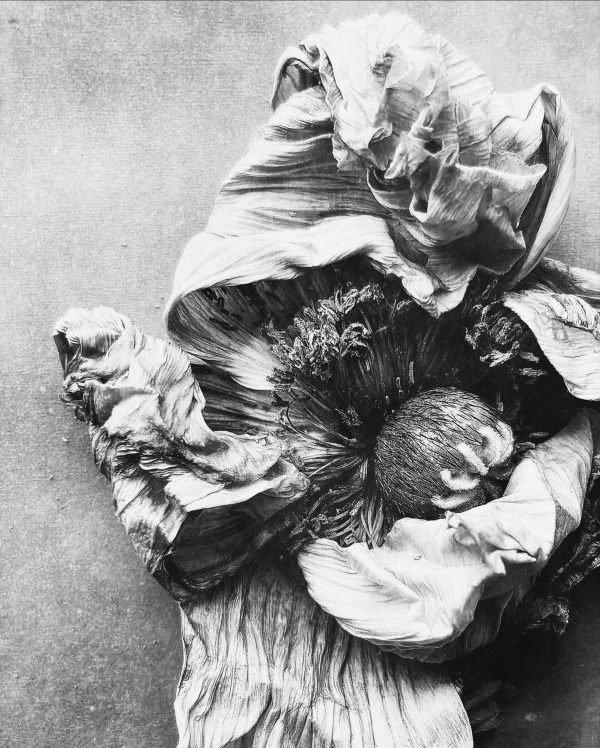 2c4fbe6a35d317c9af02cedc590267d8