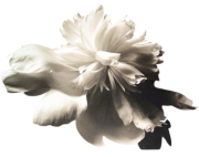 99a78867b812e3ae3aea5997eb984f2e-Photoroom