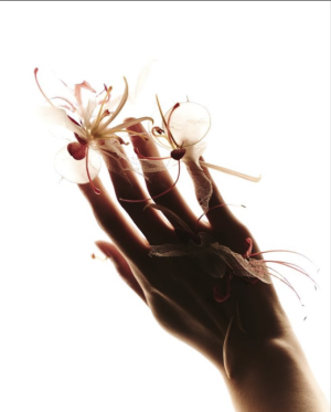 Captura de pantalla 2026-03-16 a la(s) 5.41.36 p.m.