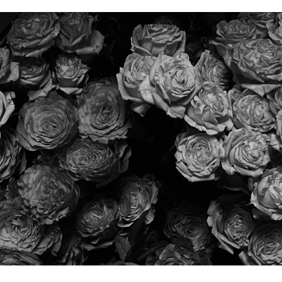 FOTO PEQUEÑA INFERIOR