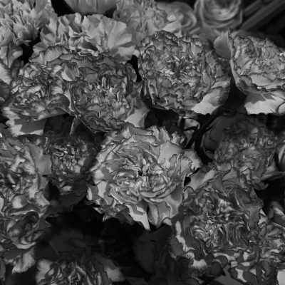 FOTO PEQUEÑA SUPERIOR